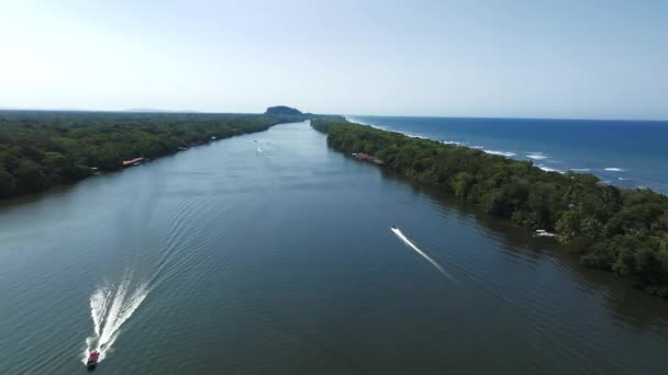 一边是加勒比海 中间是森林里的托尔图格罗村 另一边是大河 在哥斯达黎加是个充满野生动物的神奇地方 — 图库视频影像
