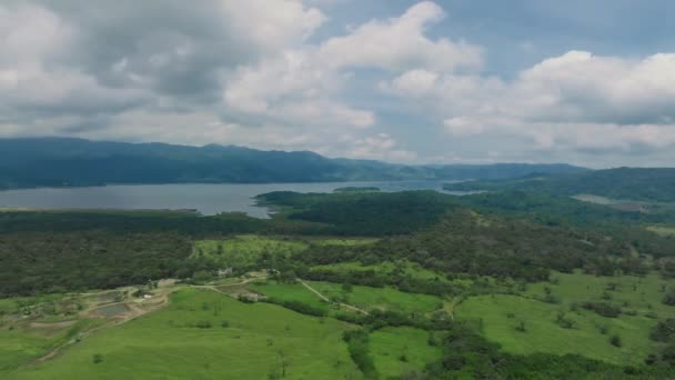 Prachtig Uitzicht Prachtige Natuur Costa Rica Groene Bomen Groeien Regenwoud — Stockvideo