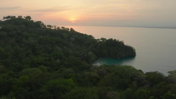 俯瞰华夫湾可可斯岛哥斯达黎加 哥斯达黎加一个丛林茂密的热带岛屿的空中俯瞰 — 图库视频影像