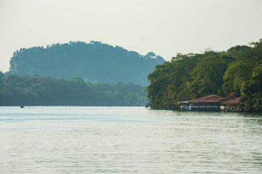 Kosta Rika kıyılarında yemyeşil bir tropikal ormanla Tortuguero Kanalı 'ndan geçen tekne.