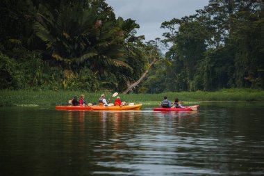Erkek ve kadın turistler Kosta Rika 'daki Tortuguero kanalı ve ormanı boyunca tekne turunun keyfini çıkarıyorlar..