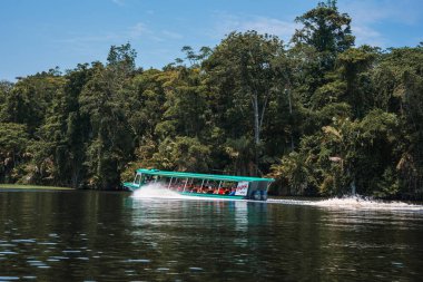 Güzel güneşli bir günde, nehir kıyısındaki yeşil ormanı gezen yolcular, Kosta Rika 'daki ormanda turistik tekne turu yapan turistler,