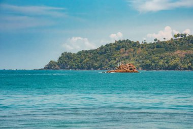 Kosta Rika 'da güneşli bir günde bulutlu gökyüzü altında büyüyen güzel deniz manzarası ve ağaçların doğası ve seyahat kavramı.