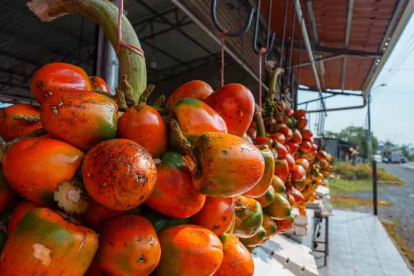 Tropical Fresh Organic Ripe Pejibayes Hanging Display Souvenirs Stand Market — Stock Photo, Image