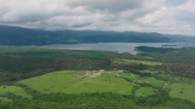 Kosta Rika 'nın muhteşem doğa manzarası. Kosta Rika 'da kasvetli bir günde, yağmur ormanlarında büyüyen yeşil ağaçlar.