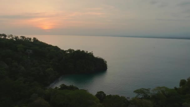 Blick Über Wafers Bay Cocos Island Costa Rica Luftaufnahme Einer — Stockvideo