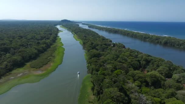 一边是加勒比海 中间是森林里的托尔图格罗村 另一边是大河 在哥斯达黎加是个充满野生动物的神奇地方 — 图库视频影像