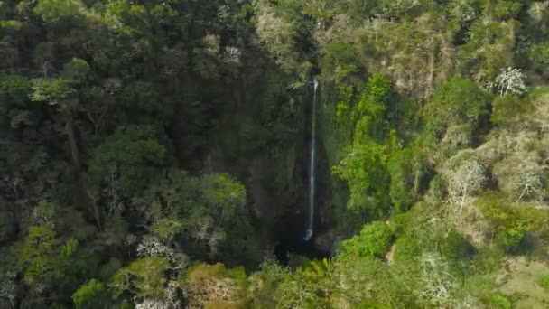 哥斯达黎加的拉福尔图纳瀑布 瀑布坐落在位于休眠状态的查托火山底部的阿基里河畔 — 图库视频影像