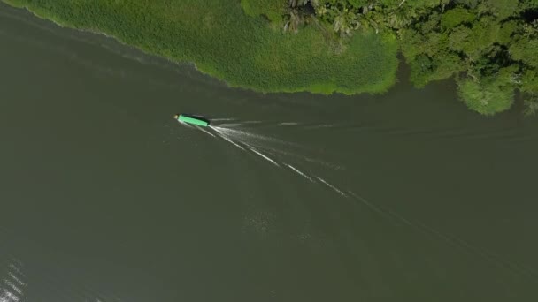 Barco Que Conduce Río Abajo Medio Una Selva Disparo Aéreo — Vídeos de Stock