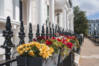 Pembridge Bahçeleri 'ndeki lüks mülklerin korkuluklarında asılı çiçek saksıları. Yaya yolundaki ev. Güneşli bir günde Londra 'da modern bir daire..