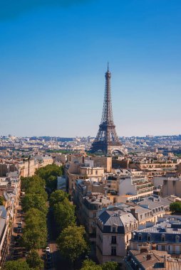 Paris, Fransa 'daki Eyfel Kulesi' nin güneşli gündüz manzarası, açık mavi gökyüzünün altındaki ağaçlarla çevrili..