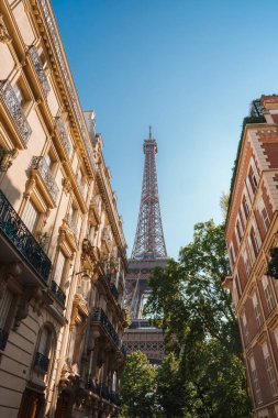 Eiffel Kulesi 'nin güneşli manzarası taştan yapılmış bir Paris caddesinden bisikletli.