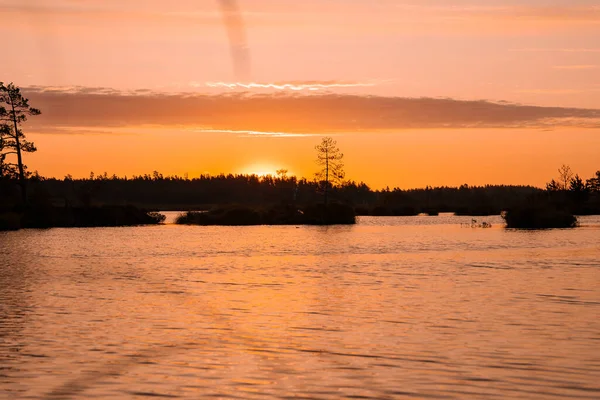 Magischer Sonnenaufgang Über Dem See Frühsommermorgen — Stockfoto