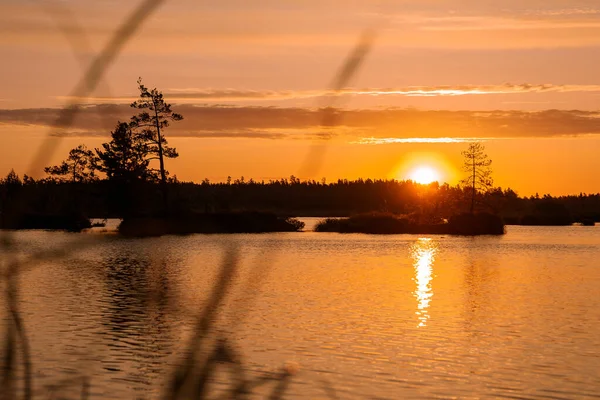 湖上神奇的日出初夏清晨 — 图库照片