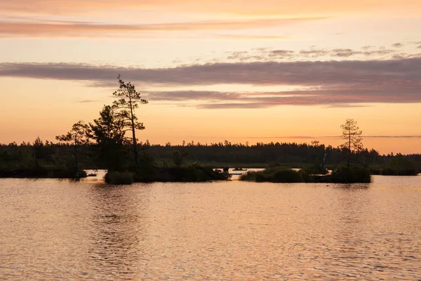 Magischer Sonnenaufgang Über Dem See Frühsommermorgen — Stockfoto