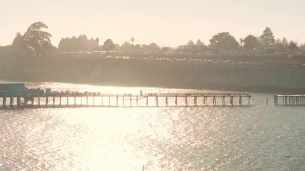 位于美国加州海岸的五彩缤纷的住宅区Capitola Venetian Court 空中俯瞰着有许多海鸥和鹈鹕的被遗弃的老码头 古典木制码头 — 图库视频影像