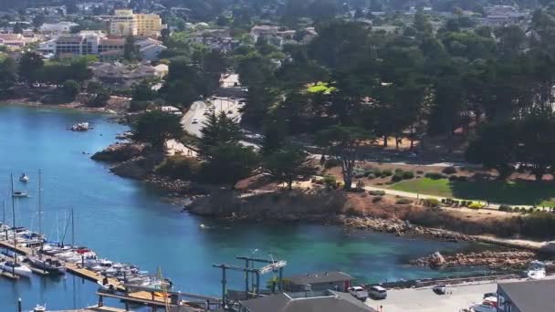 Monterey Körfezi Akvaryumu Nun Havadan Görüntüsü Pasifik Korusu Nda Monterey — Stok video