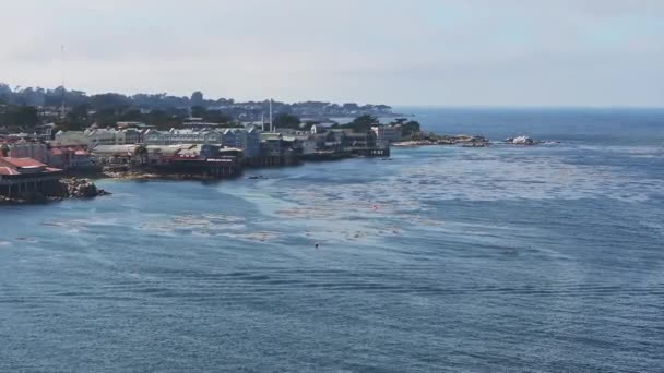 Widok Lotu Ptaka Akwarium Monterey Bay Pacific Grove Wieloma Jachtami — Wideo stockowe