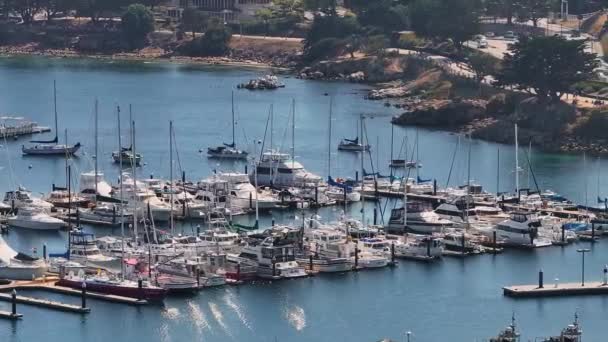 Вид Повітря Акваріум Затоки Монтерей Тихоокеанський Гай Багатьма Яхтами Причаленими — стокове відео