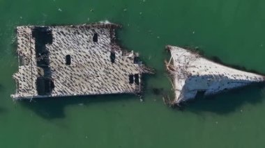SS Palo Alto veya Aptos Çimento Gemisi, Aptos, California. Kaliforniya kıyı şeridi yakınlarında binlerce pelikanla kaplı bir gemi enkazı..