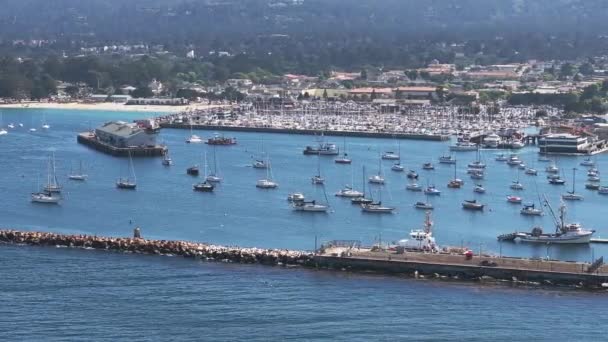 Вид Воздуха Аквариум Monterey Bay Pacific Grove Многими Яхтами Пристыкованными — стоковое видео