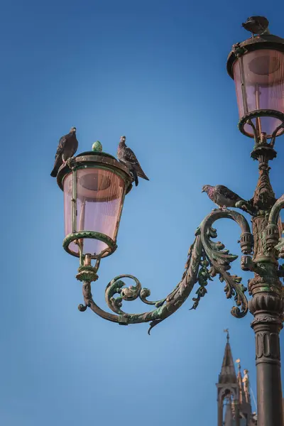 Udsmykket Metal Lampe Indlæg Med Fugle Oppe Det Stilen Placeringen - Stock-foto