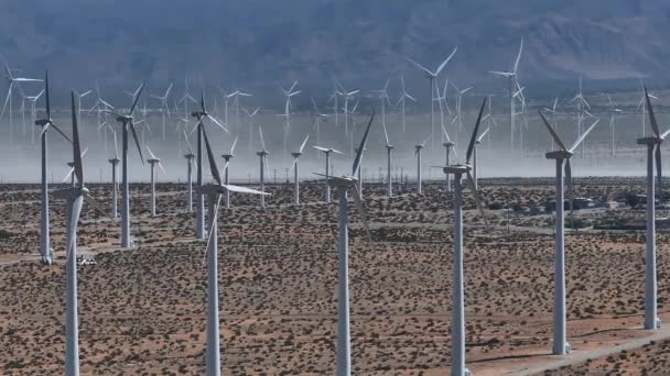 美国棕榈泉的一个大型风力涡轮机农场的空中景观 在晴朗的天空下 在一片金黄色的沙漠中 有一排固定的涡轮机 — 图库视频影像