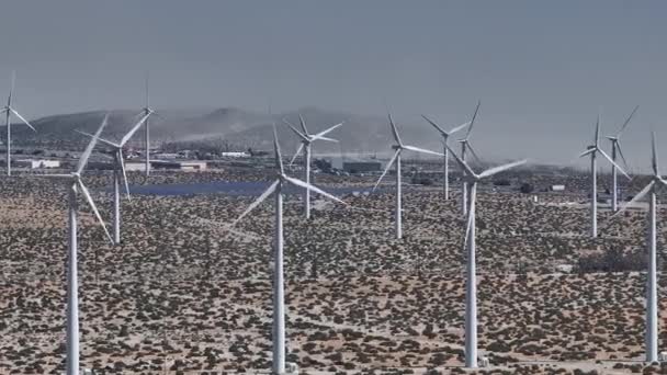 アメリカ合衆国パームスプリングスの大規模な風力タービン農場の空中眺望 明確な空の下に黄金色に染まった砂漠の風力タービンの列 — ストック動画