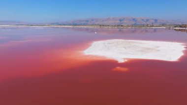 Alviso Marina Şehir Parkı 'nda pembe tuz göletleri, Don Edwards San Francisco Körfezi Ulusal Vahşi Yaşam Sığınağı' na açılan kapı. Pembe gölün havadan görünüşü.