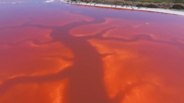 Alviso Marina Şehir Parkı 'nda pembe tuz göletleri, Don Edwards San Francisco Körfezi Ulusal Vahşi Yaşam Sığınağı' na açılan kapı. Pembe gölün havadan görünüşü.