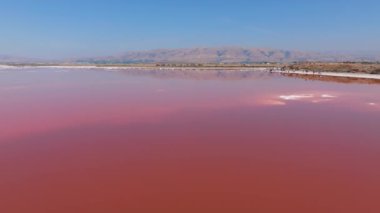 Alviso Marina Şehir Parkı 'nda pembe tuz göletleri, Don Edwards San Francisco Körfezi Ulusal Vahşi Yaşam Sığınağı' na açılan kapı. Pembe gölün havadan görünüşü.