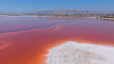 Alviso Marina Şehir Parkı 'nda pembe tuz göletleri, Don Edwards San Francisco Körfezi Ulusal Vahşi Yaşam Sığınağı' na açılan kapı. Pembe gölün havadan görünüşü.