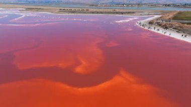 Alviso Marina Şehir Parkı 'nda pembe tuz göletleri, Don Edwards San Francisco Körfezi Ulusal Vahşi Yaşam Sığınağı' na açılan kapı. Pembe gölün havadan görünüşü.