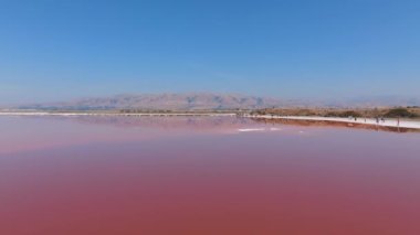 Alviso Marina Şehir Parkı 'nda pembe tuz göletleri, Don Edwards San Francisco Körfezi Ulusal Vahşi Yaşam Sığınağı' na açılan kapı. Pembe gölün havadan görünüşü.