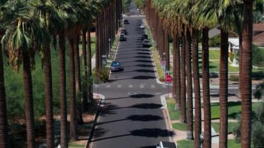 Boş bir yolu olan California palmiyelerinin hava görüntüsü. Palm Springs, Kaliforniya 'da palmiye ağaçları ve çöl dağı.