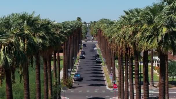 Plan Aérien Palmiers Californiens Avec Une Route Vide Palmiers Montagne — Video