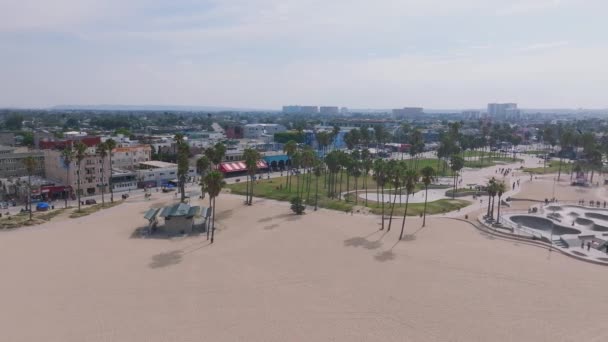 Beautiful Venice Beach District Los Angeles Usa Aerial View Venice — Stock Video