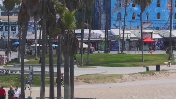Schöner Strandbezirk Von Venedig Los Angeles Usa Luftaufnahme Des Strandes — Stockvideo