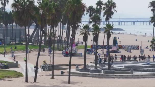 Luftaufnahme Des Skateparks Venice Beach Bei Sonnenuntergang Kalifornien Usa Schöne — Stockvideo