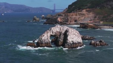 Pasifik Okyanusu kıyı şeridinin havadan görünüşü. San Francisco yakınlarında büyük dalgalar var..