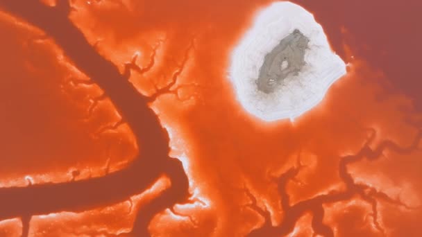 Рожеві Соляні Ставки Парку Округу Альвізо Марина Ворота Національного Заповідника — стокове відео