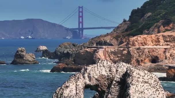 Légi Felvétel Csendes Óceán Partvonaláról Hatalmas Hullámok Parton San Francisco — Stock videók