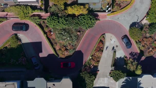 Pemandangan Udara Dari Jalan Lombard Klasik San Francisco Amerika Serikat — Stok Video