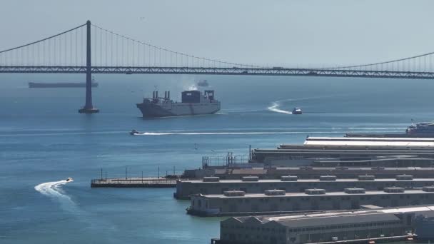 ダウンタウン近くのサンフランシスコ湾とヨット付きの多くのピアの空中ビュー — ストック動画