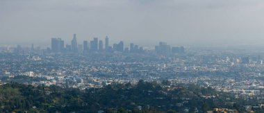 Arka planda palmiye ağacı ve şehir merkezi olan Los Angeles sıcak gün batımı manzarası. Kaliforniya, ABD teması - arka plan. Sanat fotoğrafçılığı