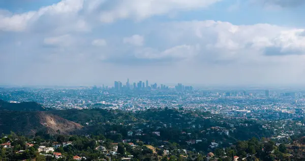 Arka planda palmiye ağacı ve şehir merkezi olan Los Angeles sıcak gün batımı manzarası. Kaliforniya, ABD teması - arka plan. Sanat fotoğrafçılığı