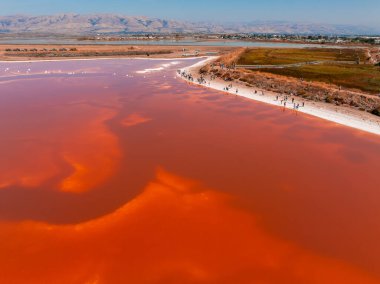 Alviso Marina İlçe Parkı 'ndaki Pembe Tuz Göletleri' nin havadan görünüşü, San Francisco Körfezi Ulusal Yaban Hayatı Sığınağı 'na açılan kapı.