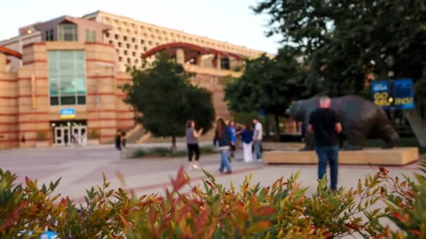 Ucla 브루인 캘리포니아 앤젤레스 캠퍼스 대학에서의 아름다운 — 비디오