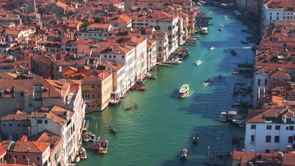 Saint Marks Meydanı Rialto Köprüsü Dar Kanallar Yakınlarındaki Venedik Havadan — Stok video