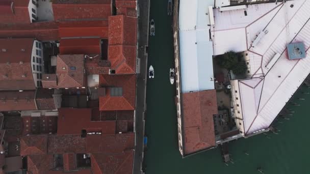 Luftaufnahme Der Insel Murano Der Venezianischen Lagune Von Oben Italien — Stockvideo